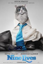 Plakat filmu Jak zostać kotem