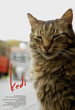 Movie poster Kedi - sekretne życie kotów