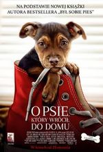 Movie poster O psie, który wrócił do domu