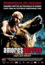 Plakat filmu Amores perros