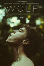 Plakat filmu Wolf