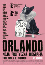 Plakat filmu Orlando - moja polityczna biografia