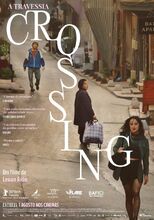 Plakat filmu Crossing