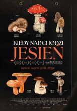 Plakat filmu Kiedy nadchodzi jesień