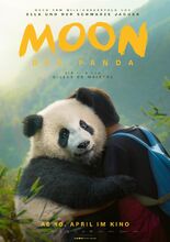 Movie poster Moon: Panda i ja