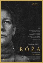 Róża