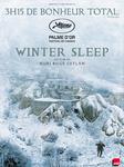 Plakat filmu Zimowy sen