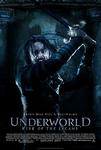Movie poster Underworld: Bunt Lykanów