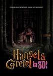 Plakat filmu Hansel i Gretel: Łowcy czarownic