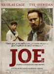 Plakat filmu Joe